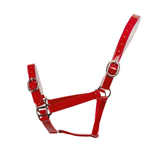 HSN5000F RD-01